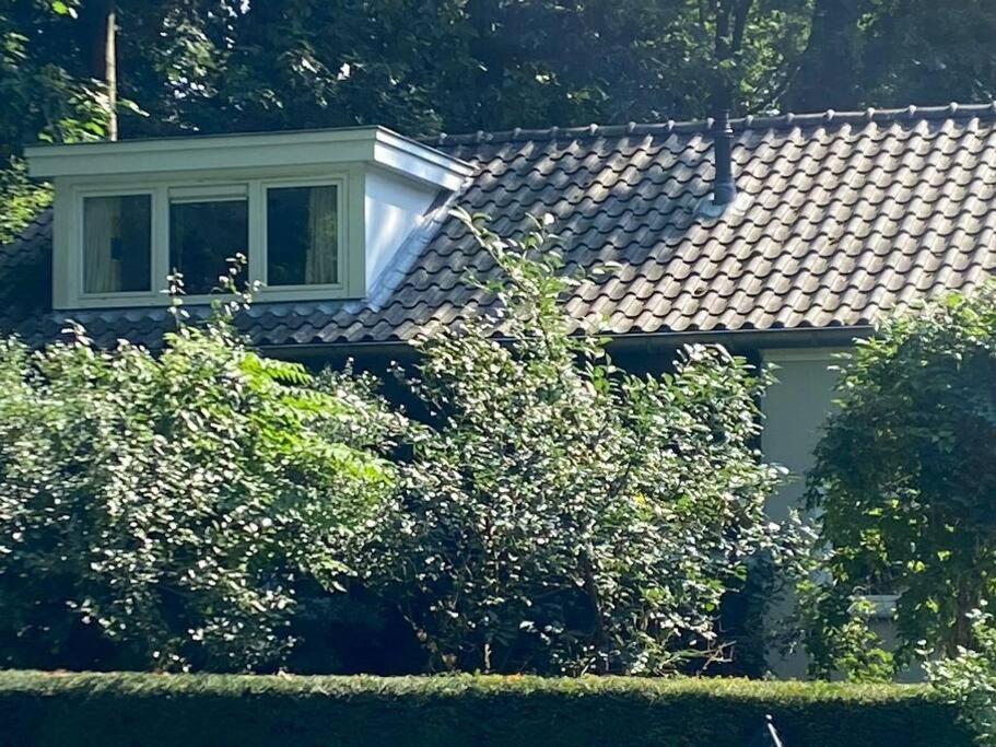 Duinhoek: Luxe Studio, Prachtig En Rustig Gelegen Zeist Dış mekan fotoğraf