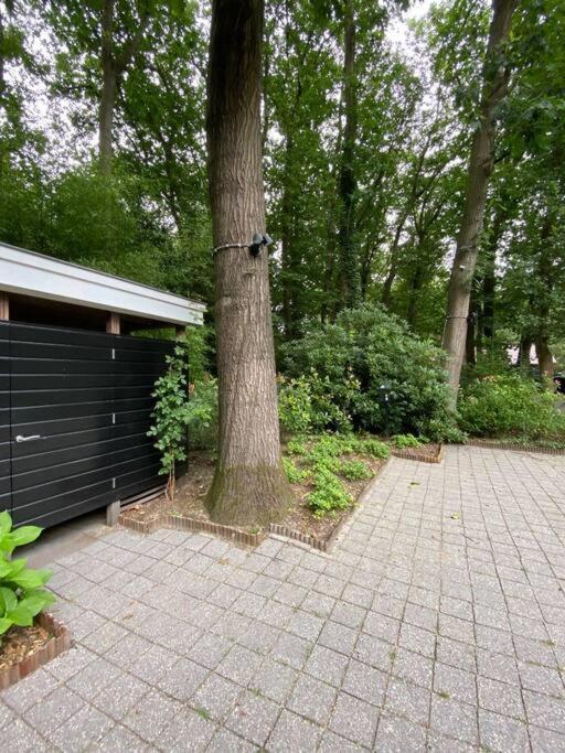 Duinhoek: Luxe Studio, Prachtig En Rustig Gelegen Zeist Dış mekan fotoğraf